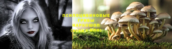 тгк Корсаков