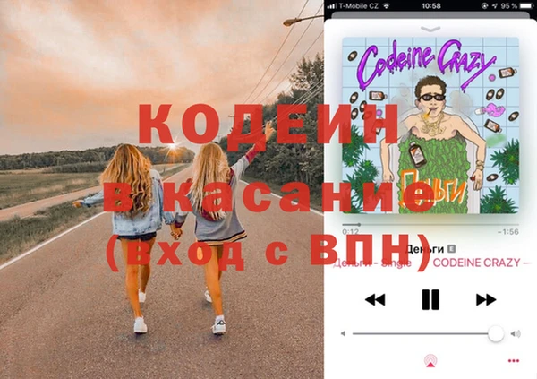 ГАЛЛЮЦИНОГЕННЫЕ ГРИБЫ Костерёво