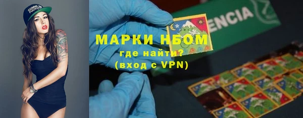 ГАЛЛЮЦИНОГЕННЫЕ ГРИБЫ Костерёво