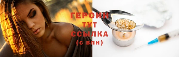 гидра Коряжма