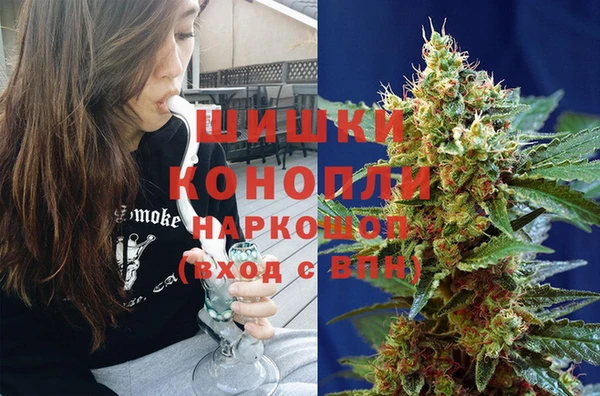 ГАЛЛЮЦИНОГЕННЫЕ ГРИБЫ Костерёво