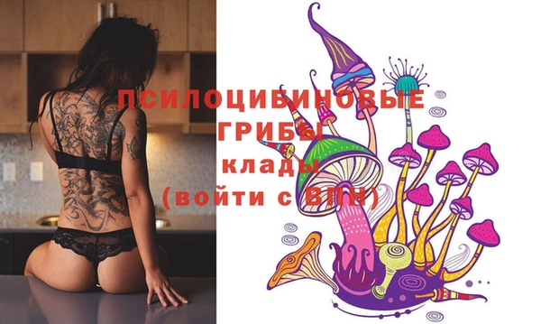 ГАЛЛЮЦИНОГЕННЫЕ ГРИБЫ Костерёво
