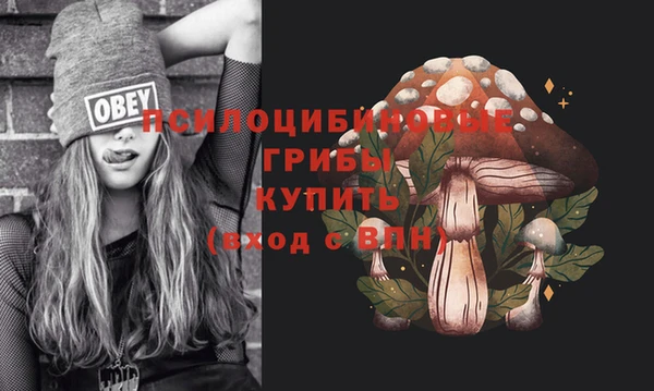 гидра Коряжма