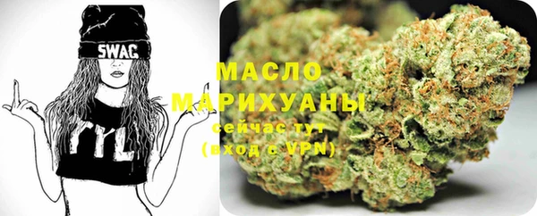 гидра Коряжма