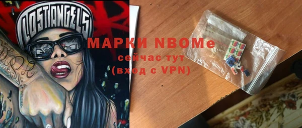 гидра Коряжма