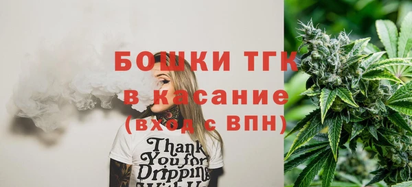 гидра Коряжма