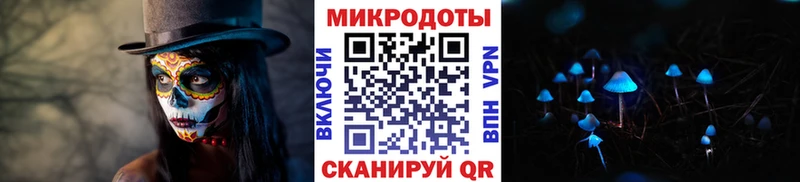 как найти закладки  Брюховецкая  Псилоцибиновые грибы GOLDEN TEACHER 