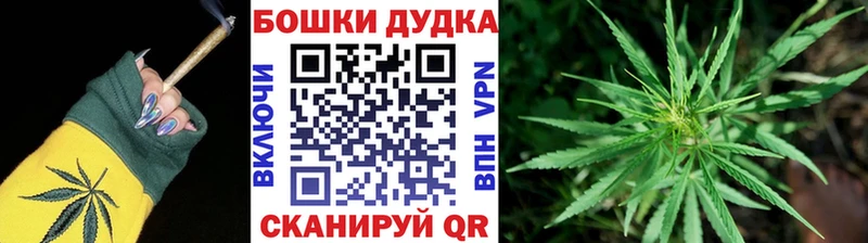 kraken   Брюховецкая  Канабис индика 